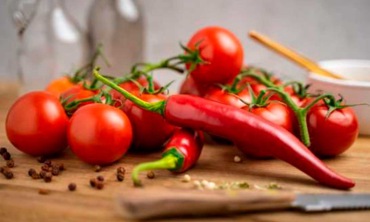 perder grasa sin dejar de comer